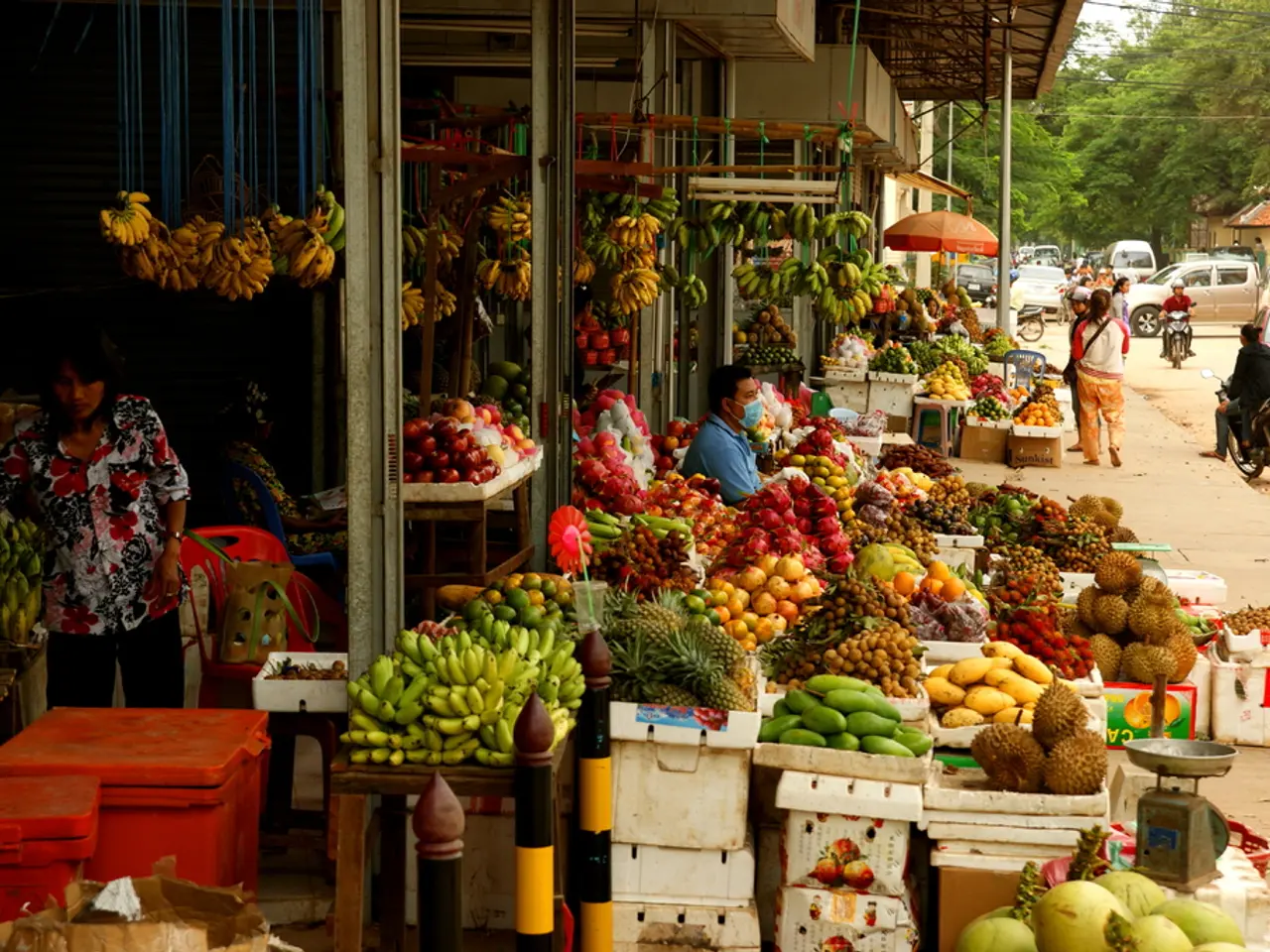 Economic Influences on Market Structures and Consumer Choices, with a Focus on New Products and...